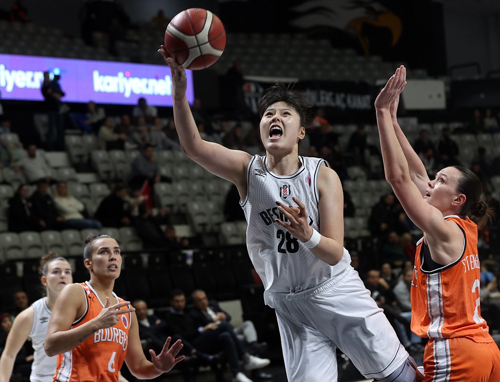 包含土耳其表现出色，力克挪威取得胜利的词条